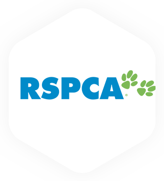 RSPCA - Oct22 Intake - Harness Projects